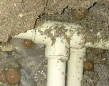 白河测漏水多少钱