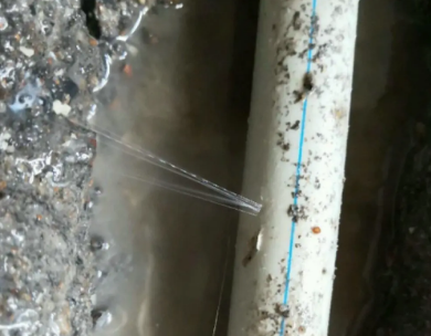 白河测漏水哪家好