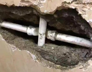 白河测漏水哪家好