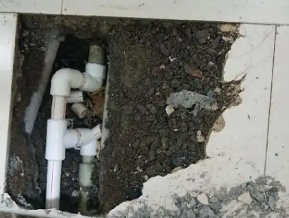 白河测漏水哪家好