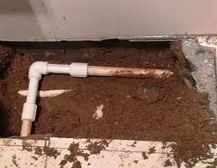 白河测漏水哪家好