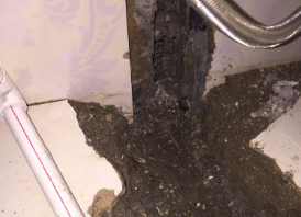 白河卫生间测漏水哪家好