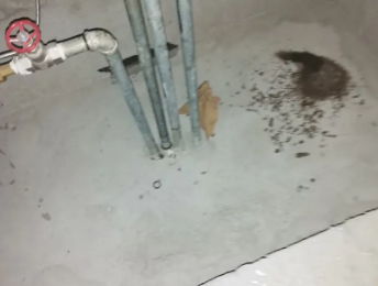 白河卫生间测漏水价格明细