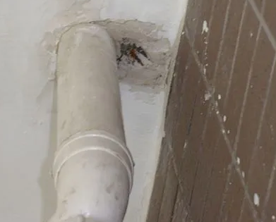 白河漏水检测哪家好